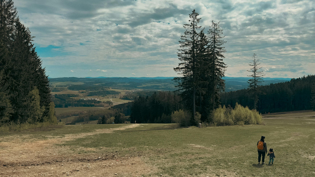 Why Nature Walks Are the Ultimate Mental Reset