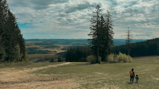 Why Nature Walks Are the Ultimate Mental Reset